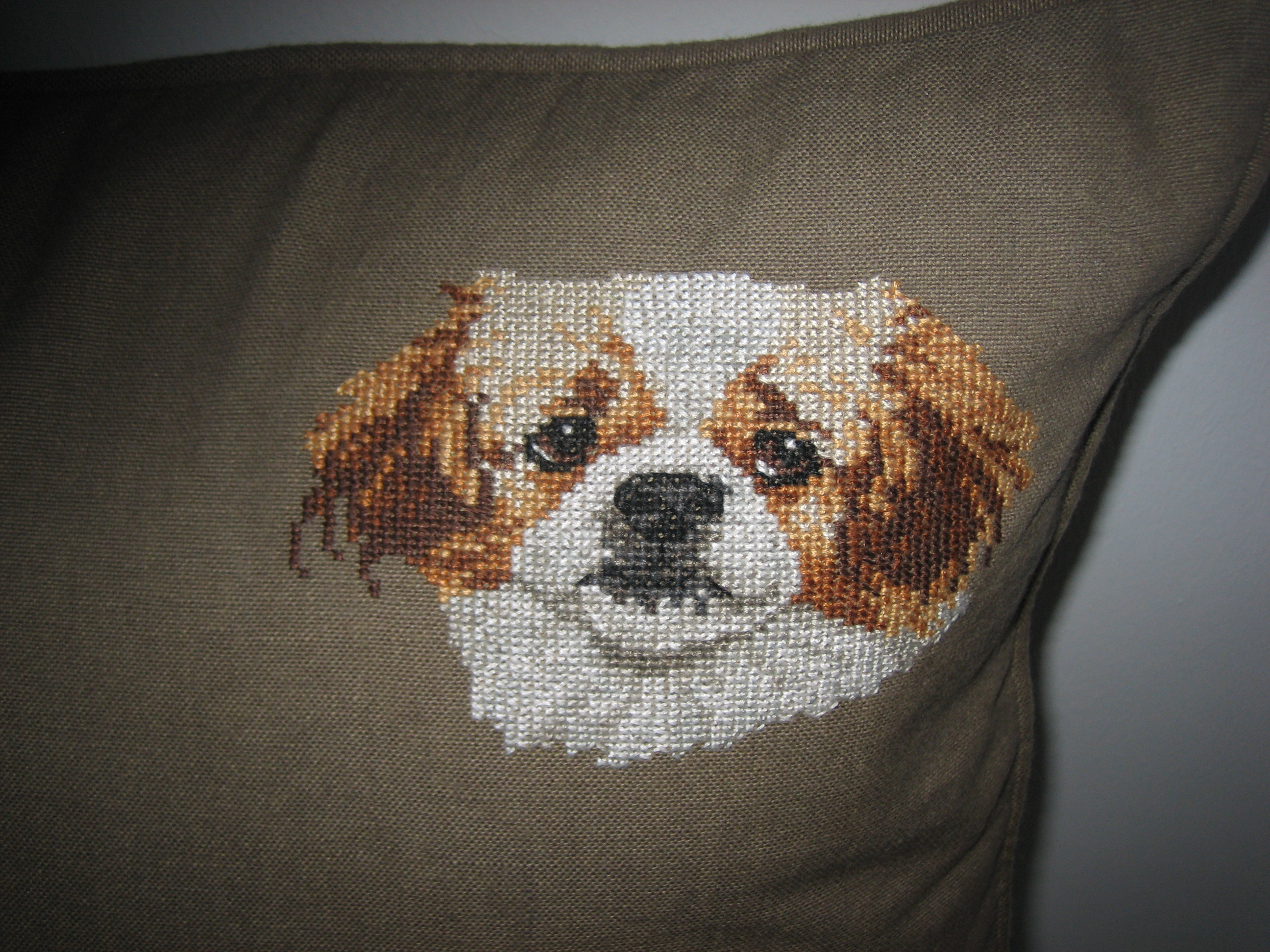 Hunden Dot detalje