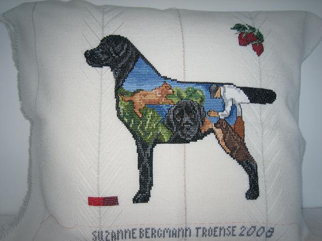 Labrador og navn